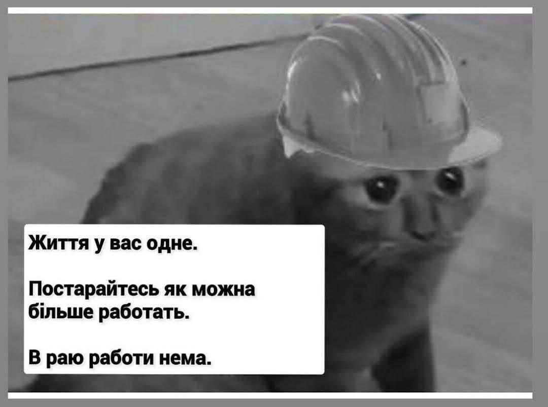 Image/photo